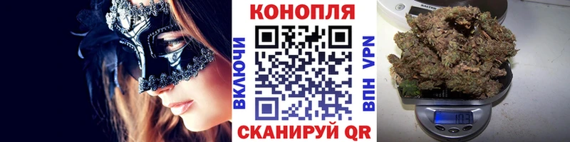 ОМГ ОМГ как войти  где найти   Галич  Шишки марихуана конопля 